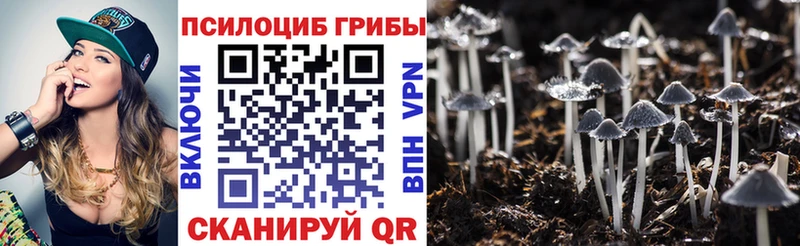 Купить закладки  Жигулёвск  Галлюциногенные грибы мицелий 
